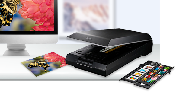6400dpi光學分辨率 - Epson Perfection V600 Photo產(chǎn)品功能